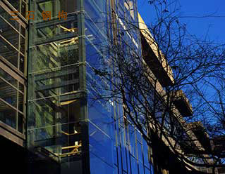 鋼結構室外觀光電梯